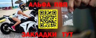 a pvp Кингисепп