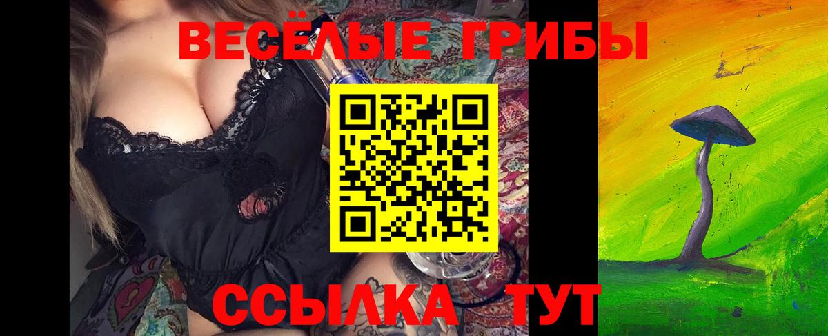 Псилоцибиновые грибы GOLDEN TEACHER  Вход с VPN  Псилоцибиновые грибы Psilocybine cubensis  магазин продажи наркотиков  Краснокаменск 